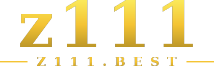 z111 logo